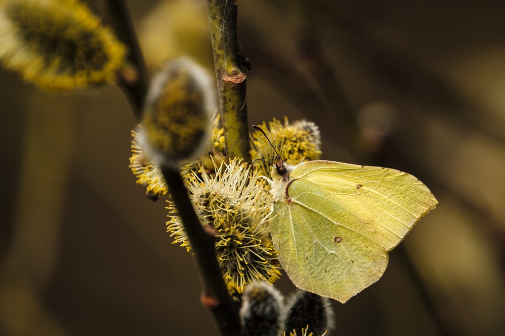 Photograph by Алексей Баженов