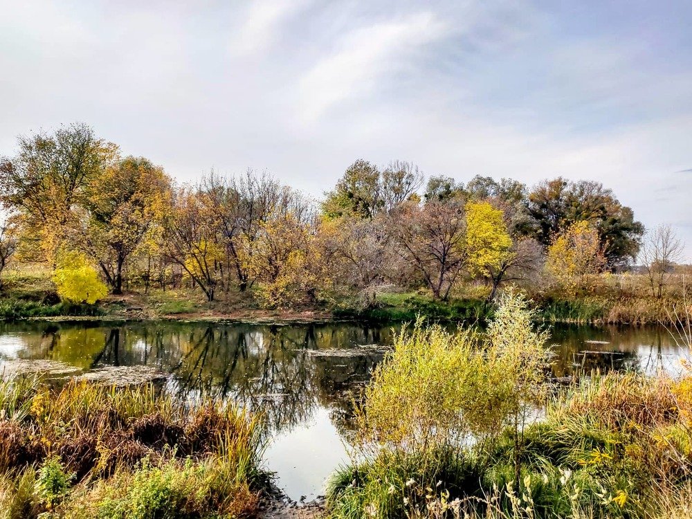 Photograph by Оксана Боднарчук