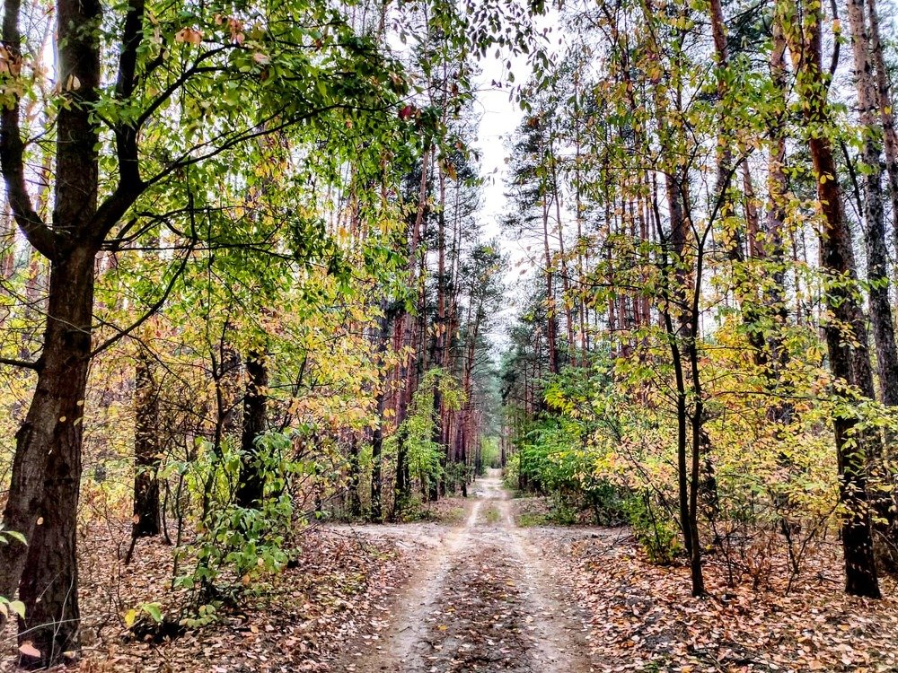 Photograph by Оксана Боднарчук