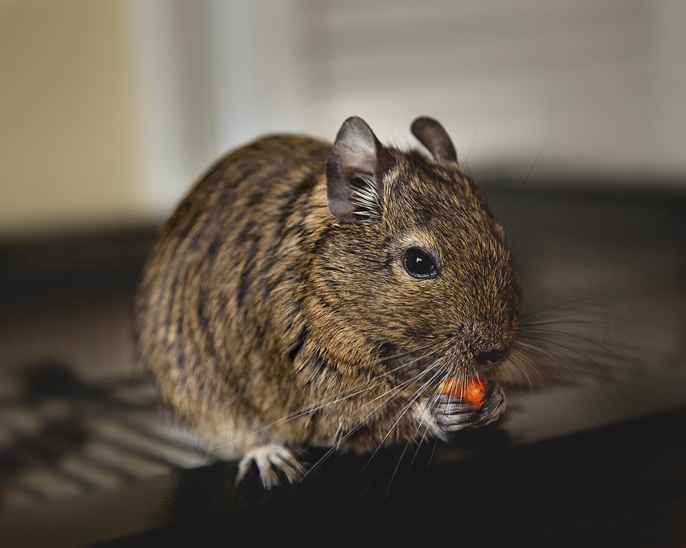 Фотография автора Оксана Мерзликина