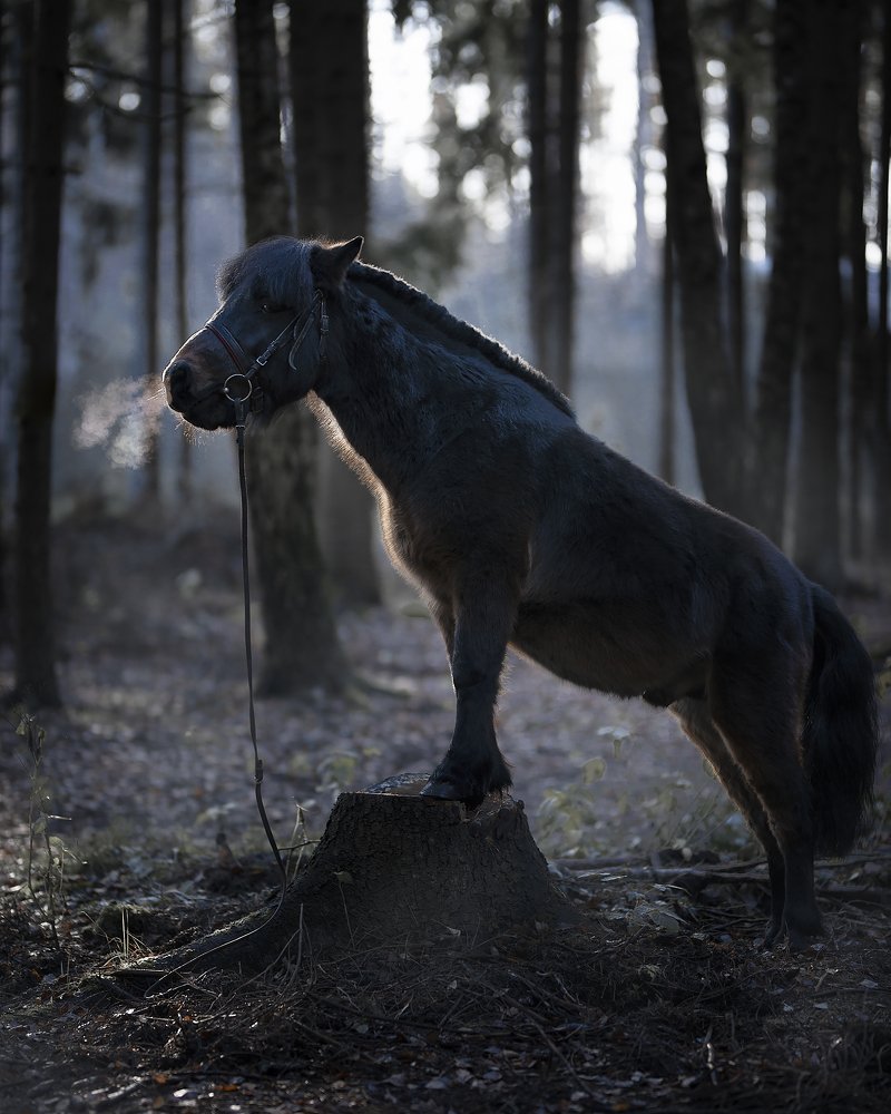 Photograph by Элеонора Чернова