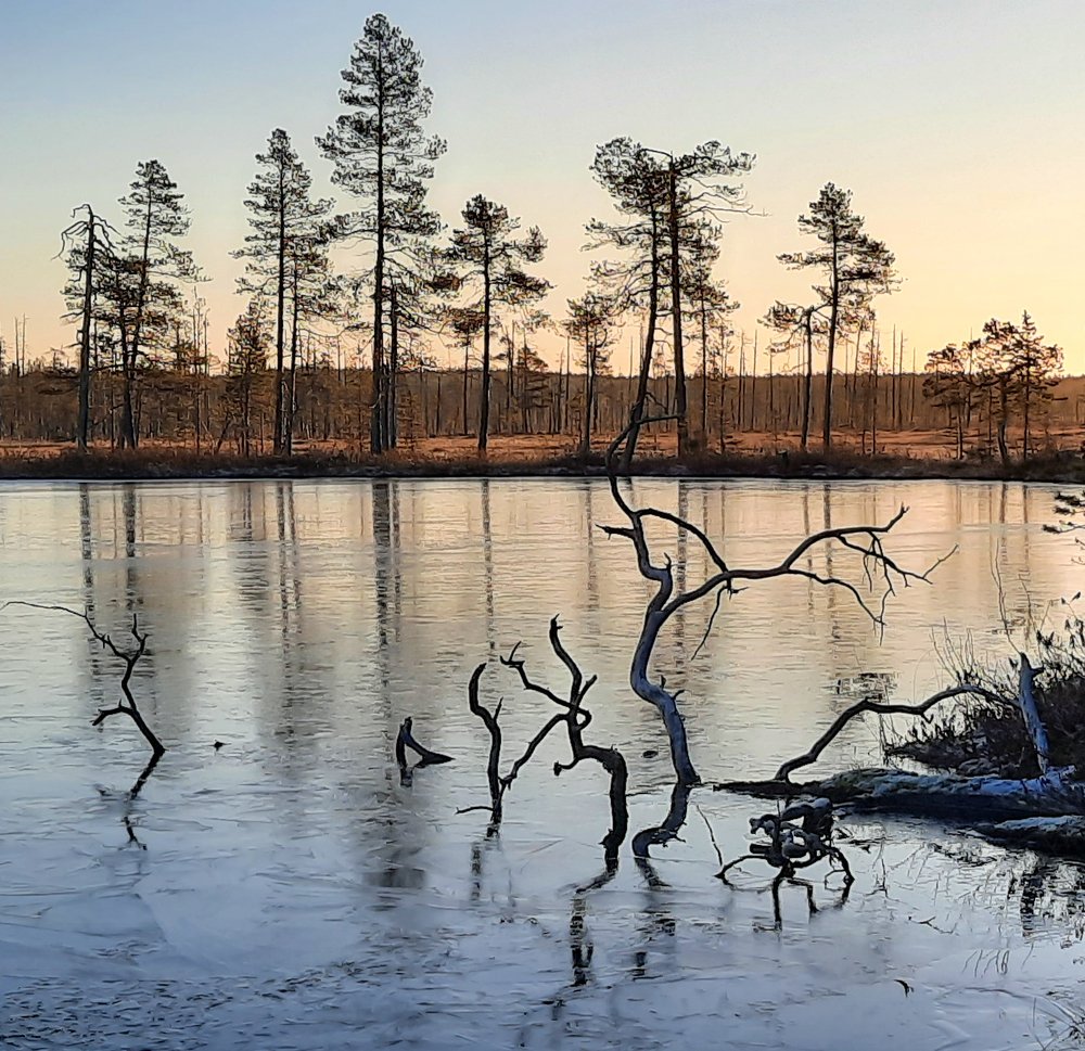 Photograph by Варвара Сапрыкина