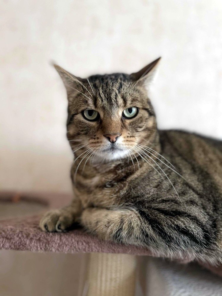 Photograph by Марина Дикманн