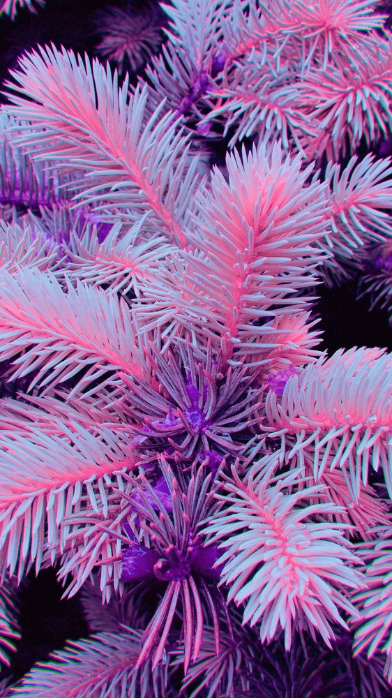 Photograph by Татьяна Фёдорова