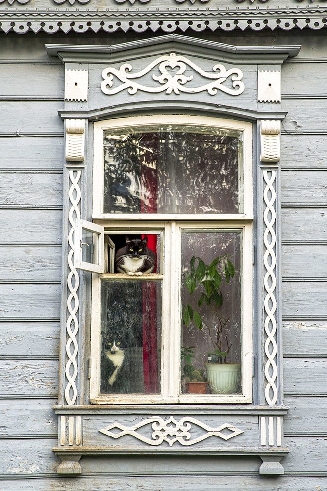 Photograph by Эдуард Шадров