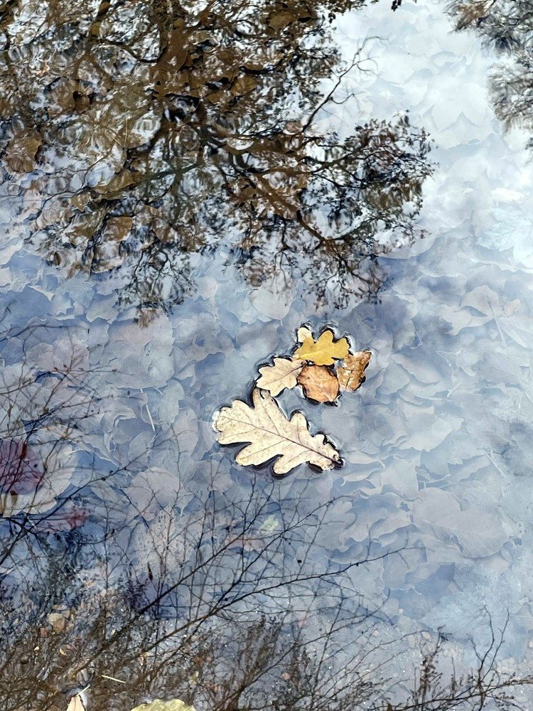 Photograph by Марина Дикманн