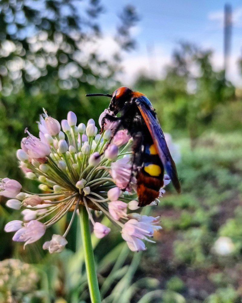 Photograph by Оксана Боднарчук