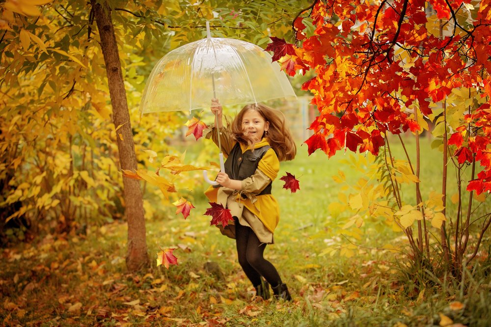 Photograph by Эля Цишба