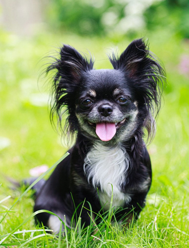 Photograph by Лариса Лофицкая