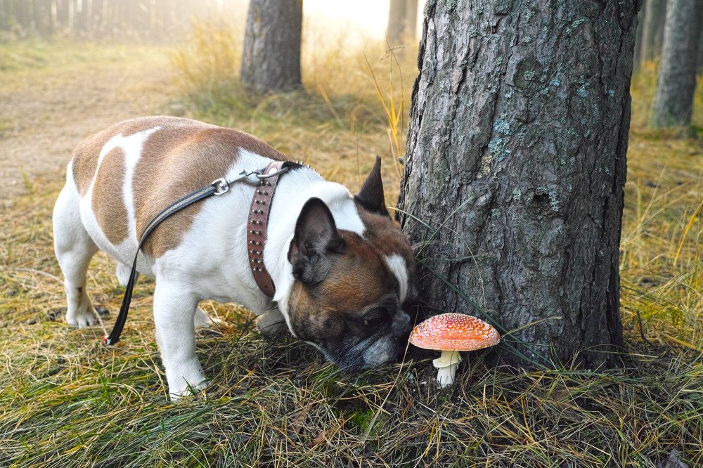 Photograph by Лариса Лофицкая