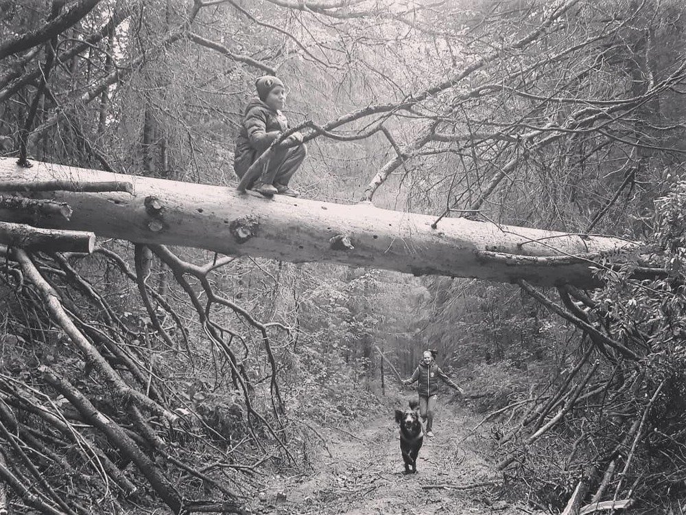 Photograph by Ирина Плотникова