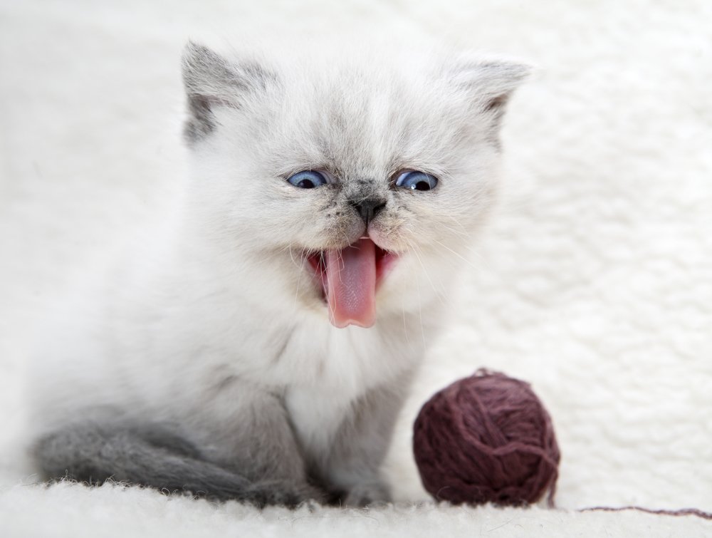 Photograph by Лариса Лофицкая