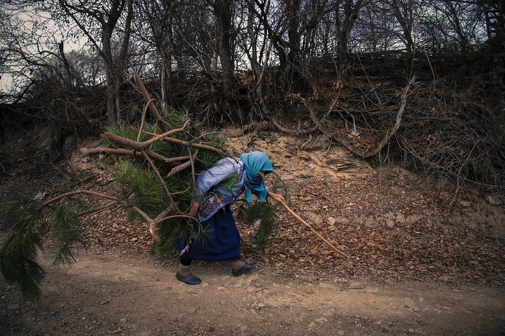 Photograph by Ramazan Yıldırım