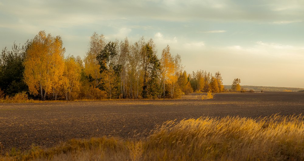 Photograph by Игорь Кляхин