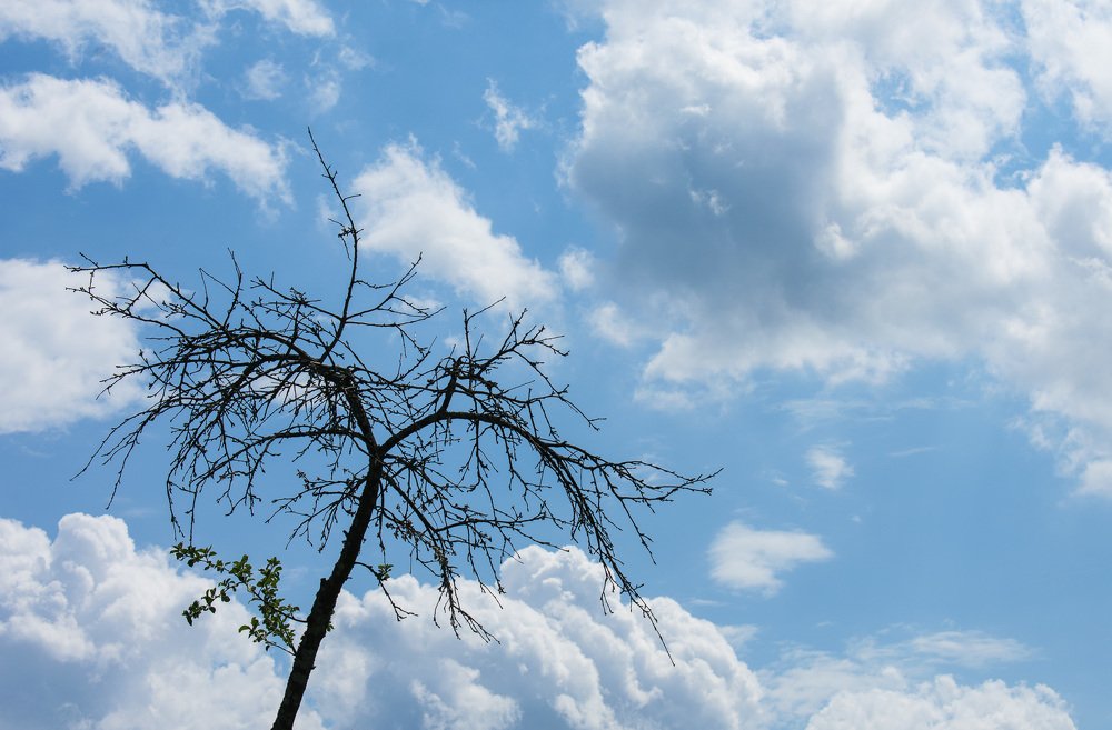 Photograph by Сергей Холопов