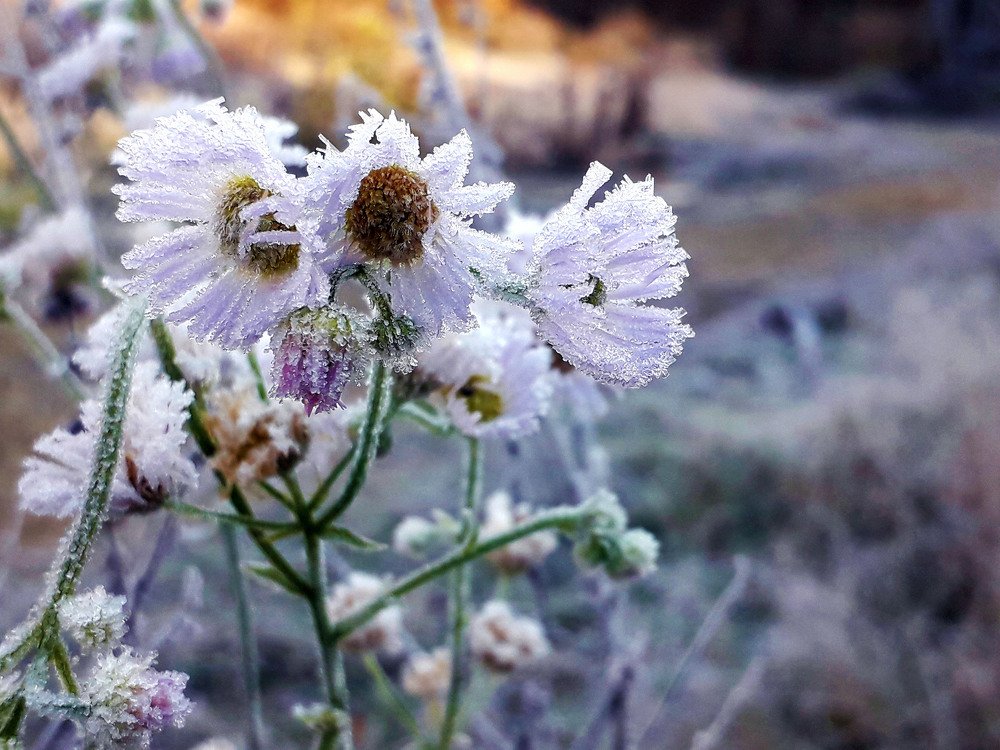 Photograph by Владимир Караман