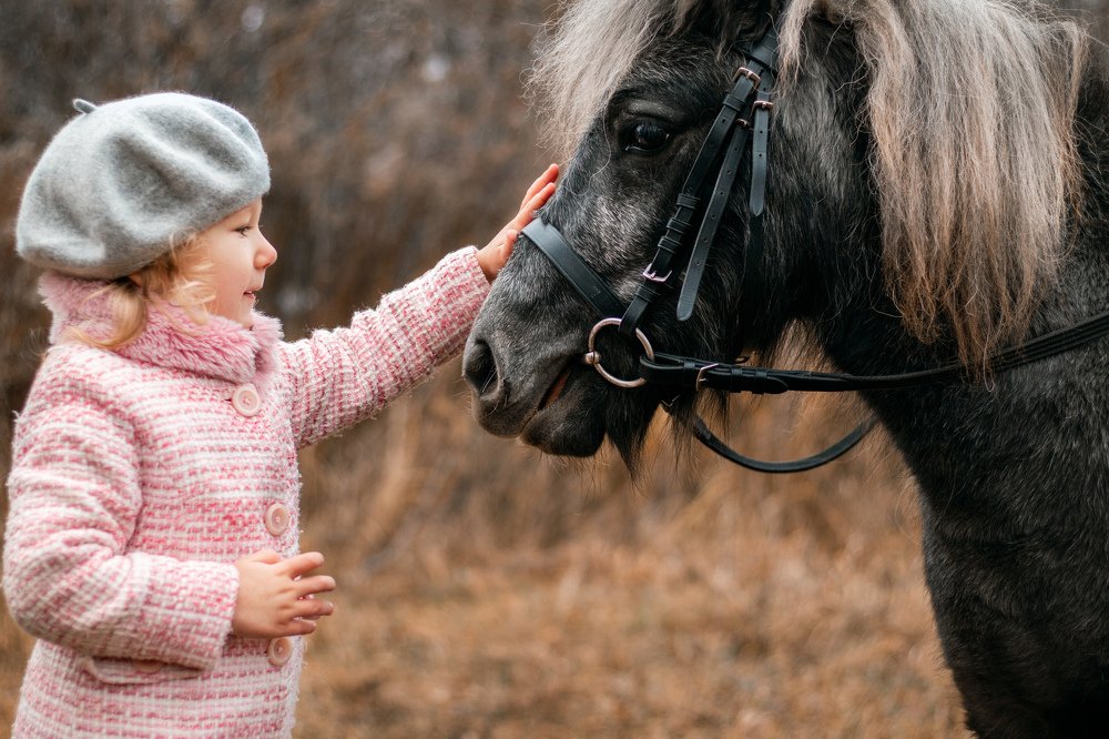 Девочка и пони