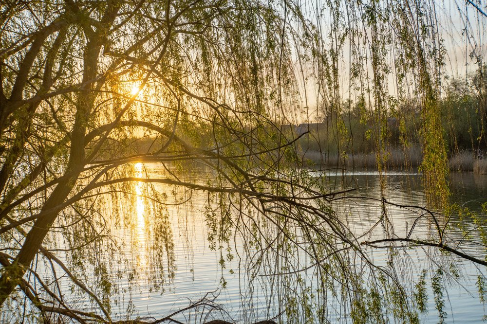 Photograph by Виталий Абдразаков