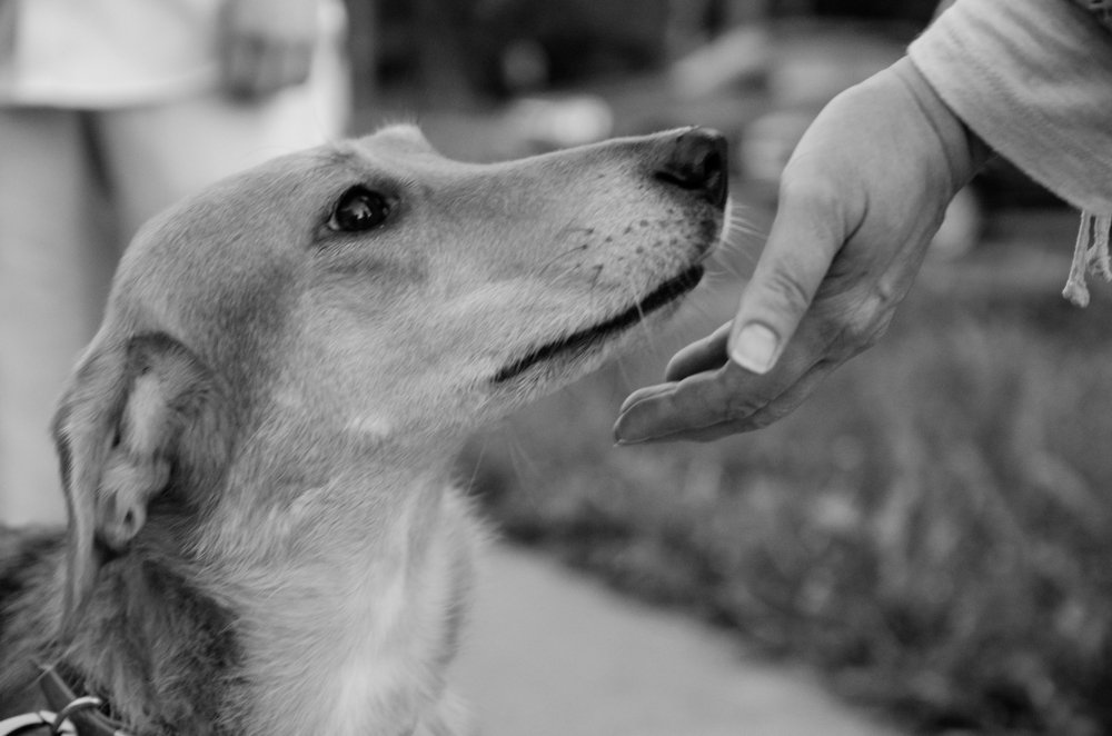 Photograph by Photos Dif