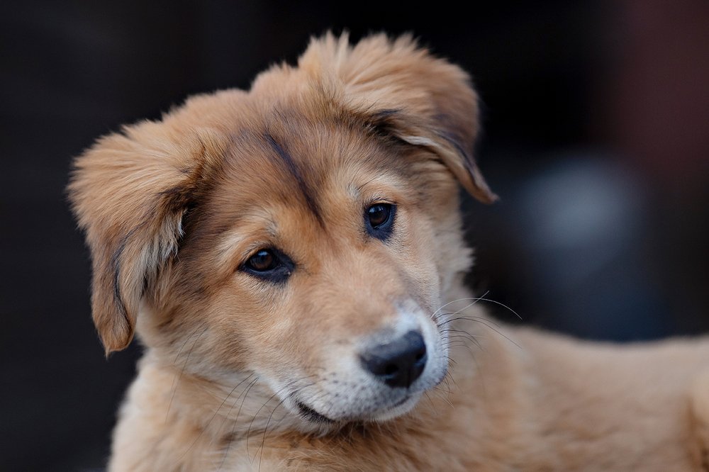 Photograph by Чистякова Валерия