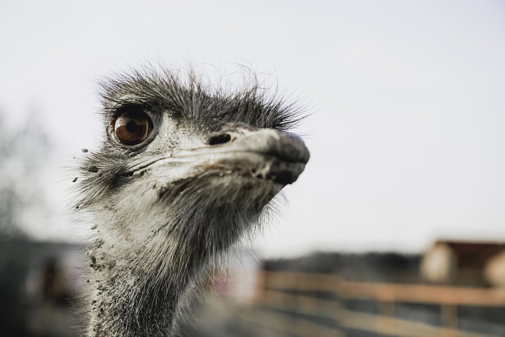 Photograph by Олег Доуша