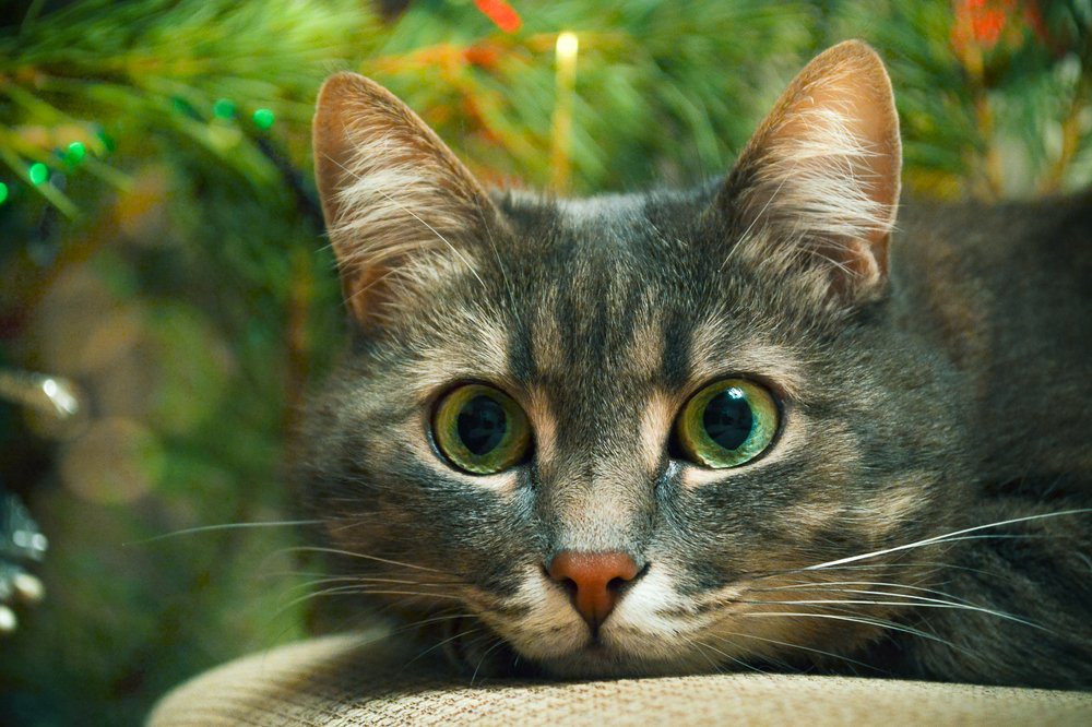 Photograph by Светлана Ветрова