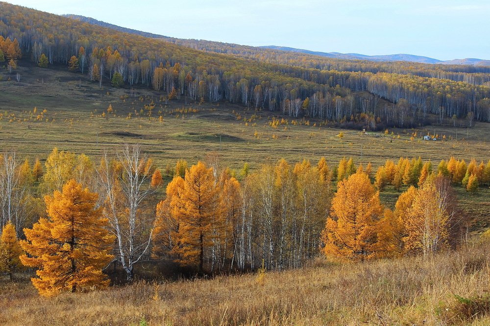 Photograph by Наталья Юрова