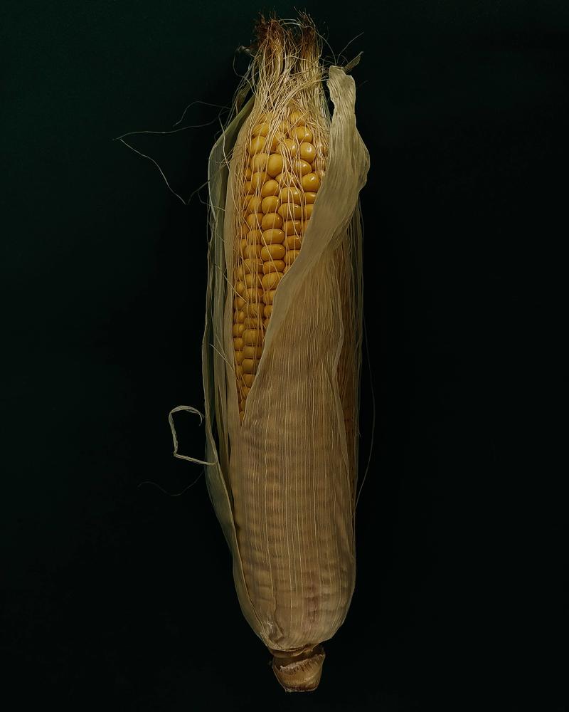 Photograph by Ирина Львова