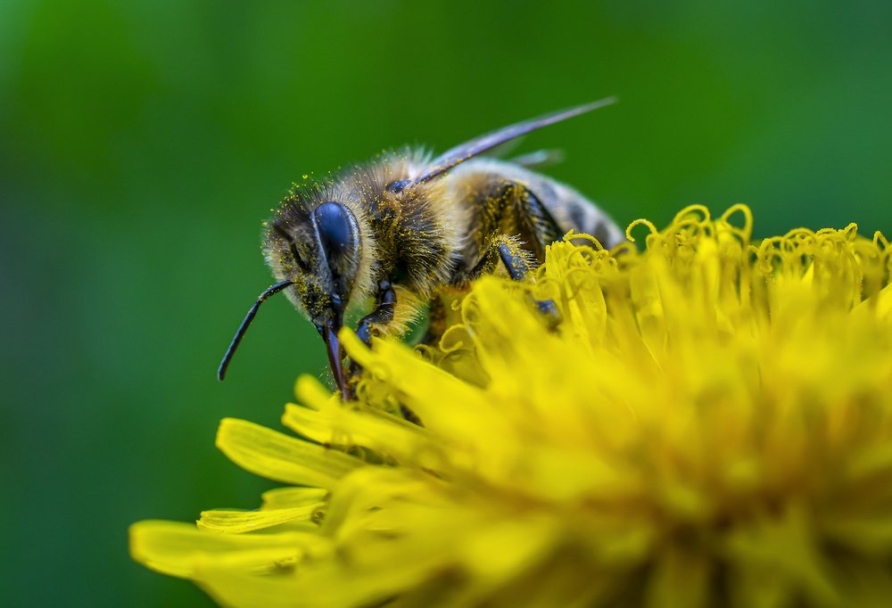 Photograph by Игорь Кляхин