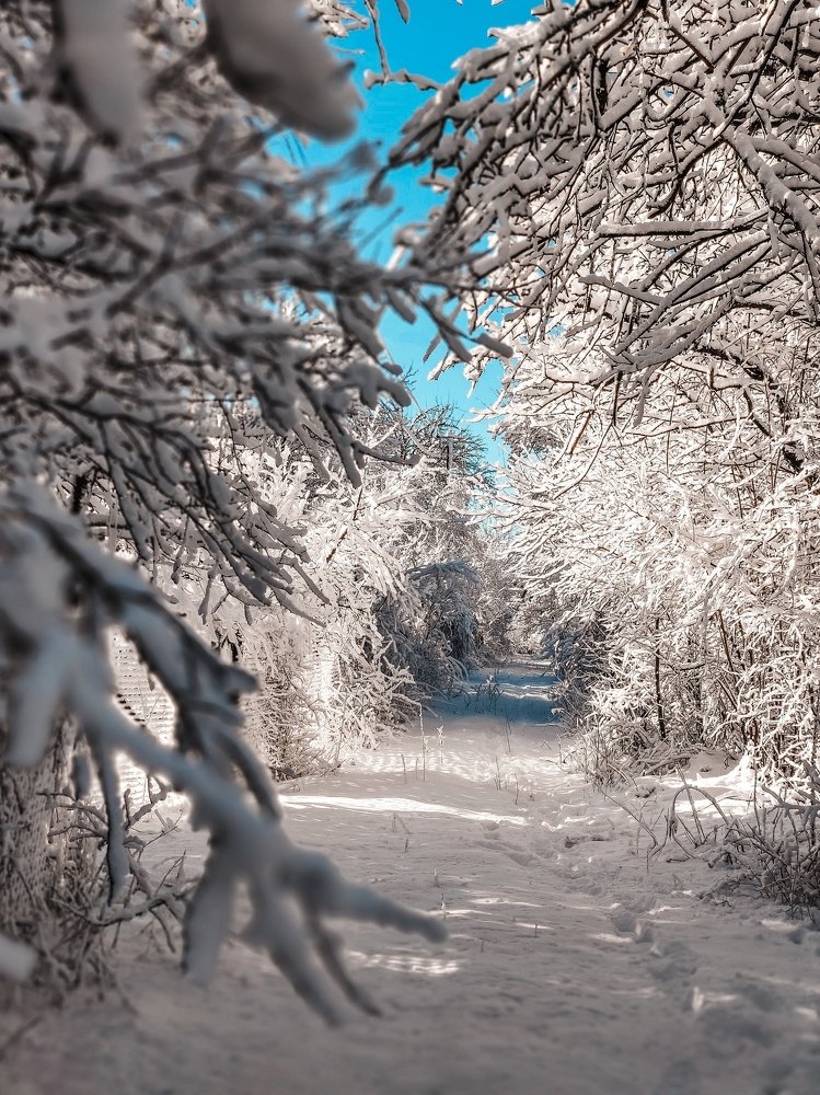 Photograph by Евгения Костырко