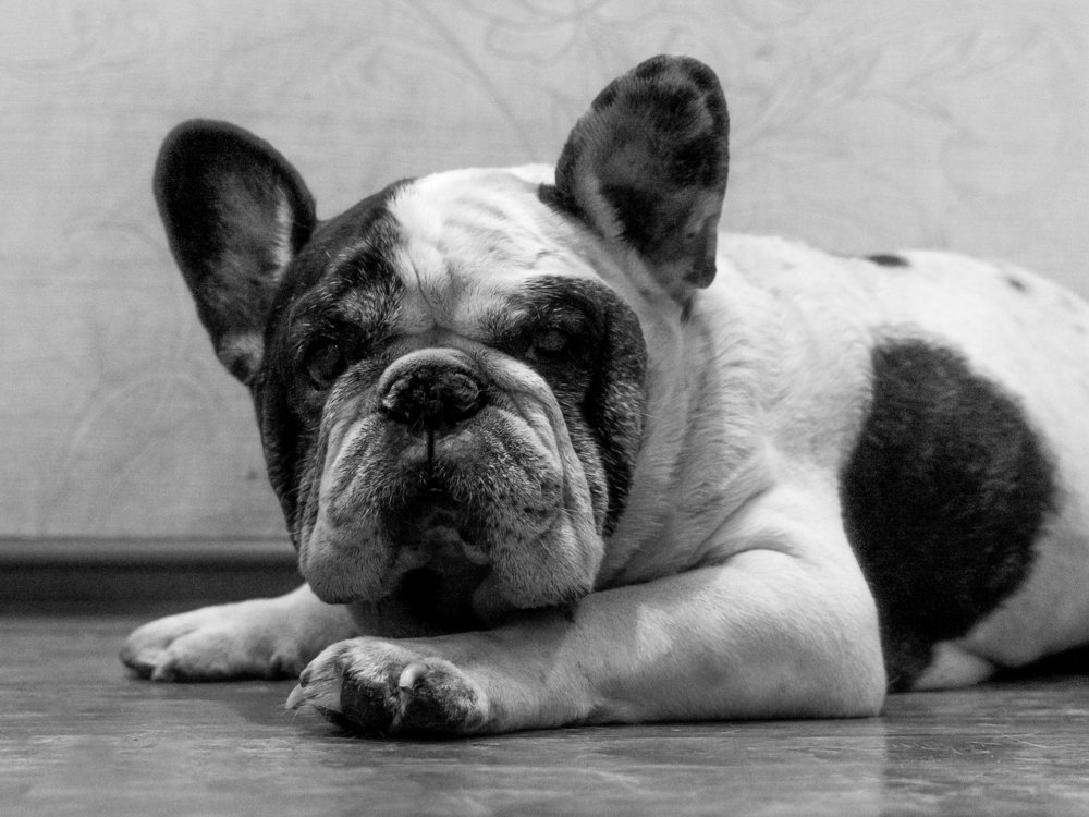 Photograph by Олег Доуша