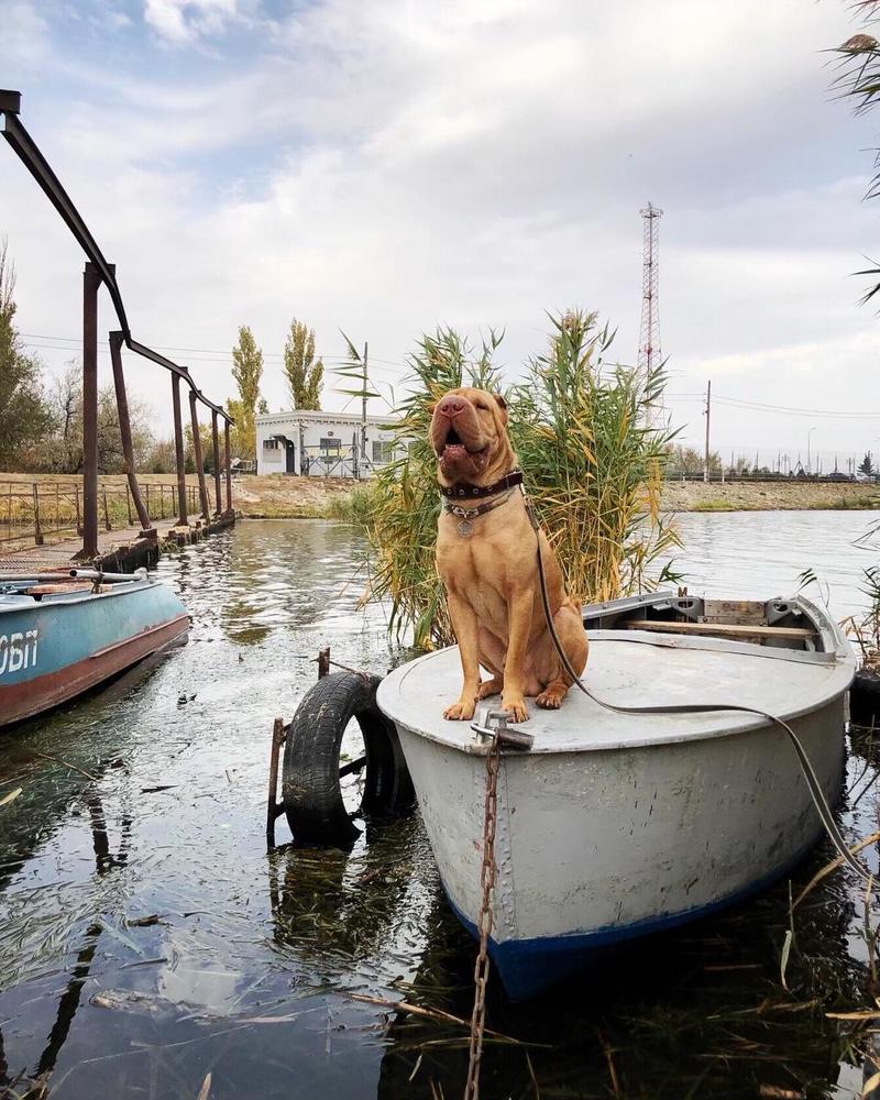 Photograph by Александр Шестаков