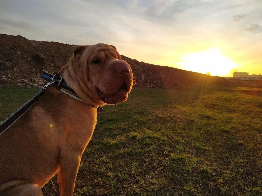 Photograph by Александр Шестаков