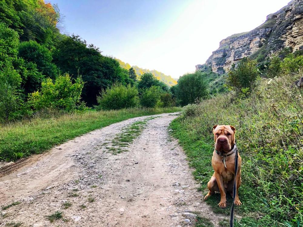 Photograph by Александр Шестаков