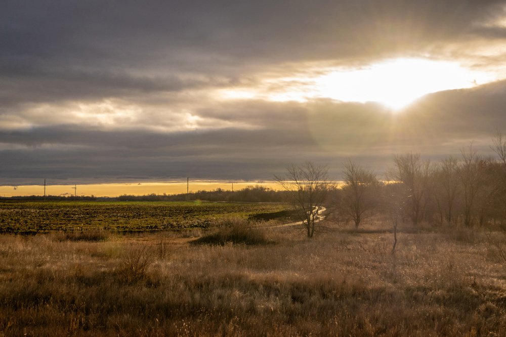 Photograph by Дмитрий Свинцов