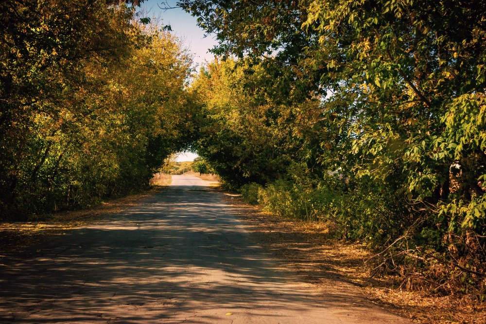 Photograph by Дмитрий Свинцов