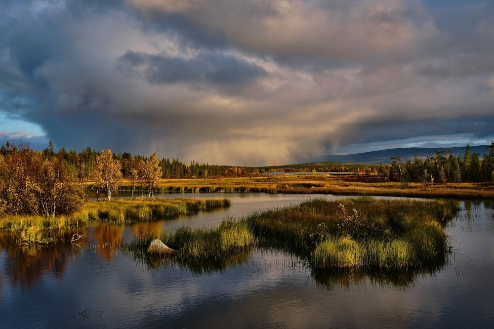 Photograph by Леонид Петруша