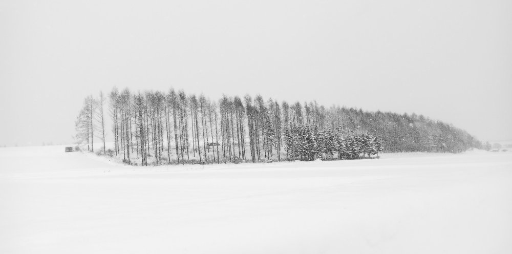 Photograph by Stewart Sun