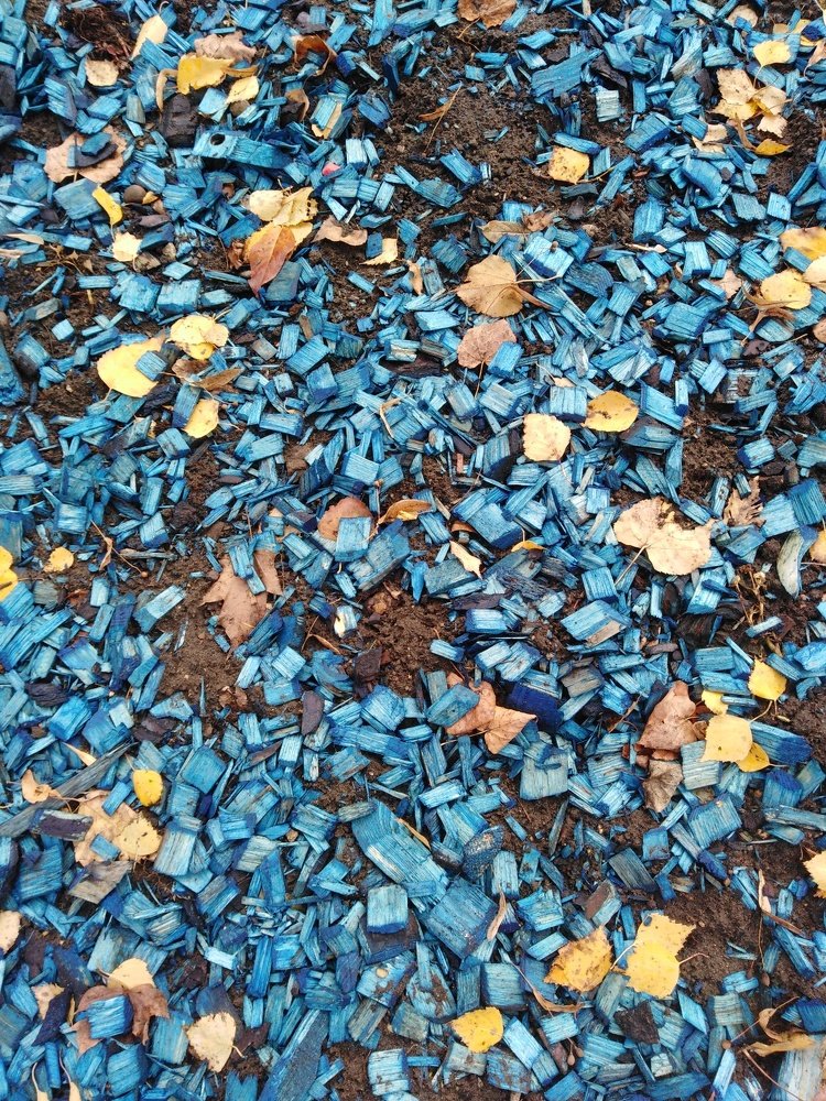 Photograph by Татьяна Ситникова