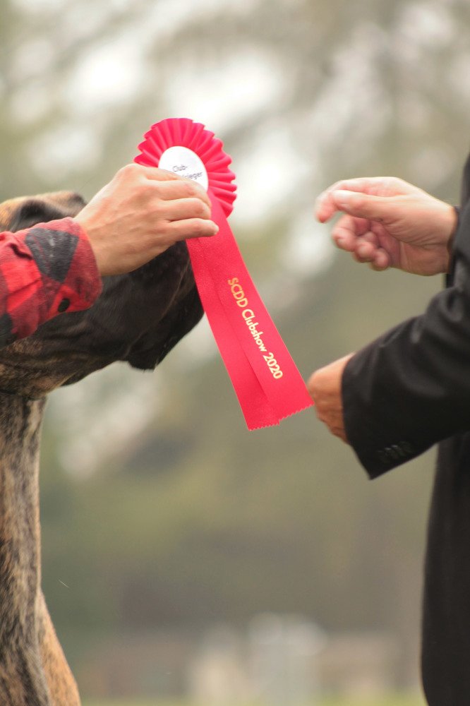 Photograph by Диана Ульянцева