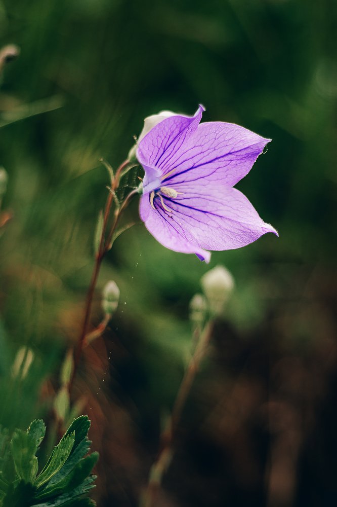 Photograph by Наталья Кеворкова