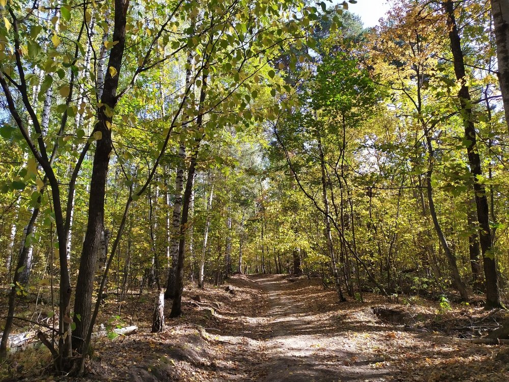 Photograph by Лидия Дорошина