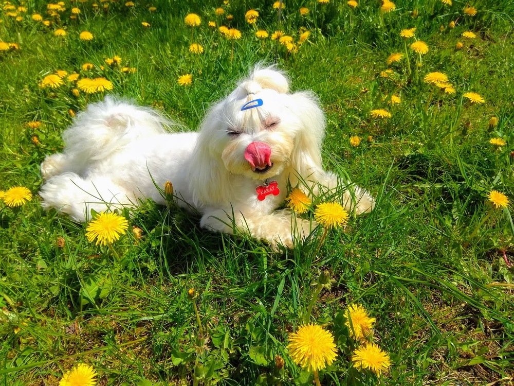 Photograph by Людмила Муравьева