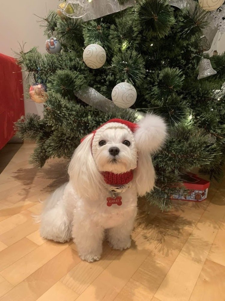 Photograph by Людмила Муравьева