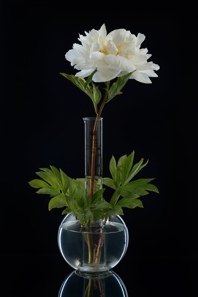 Фотография автора Кирилл Сизов