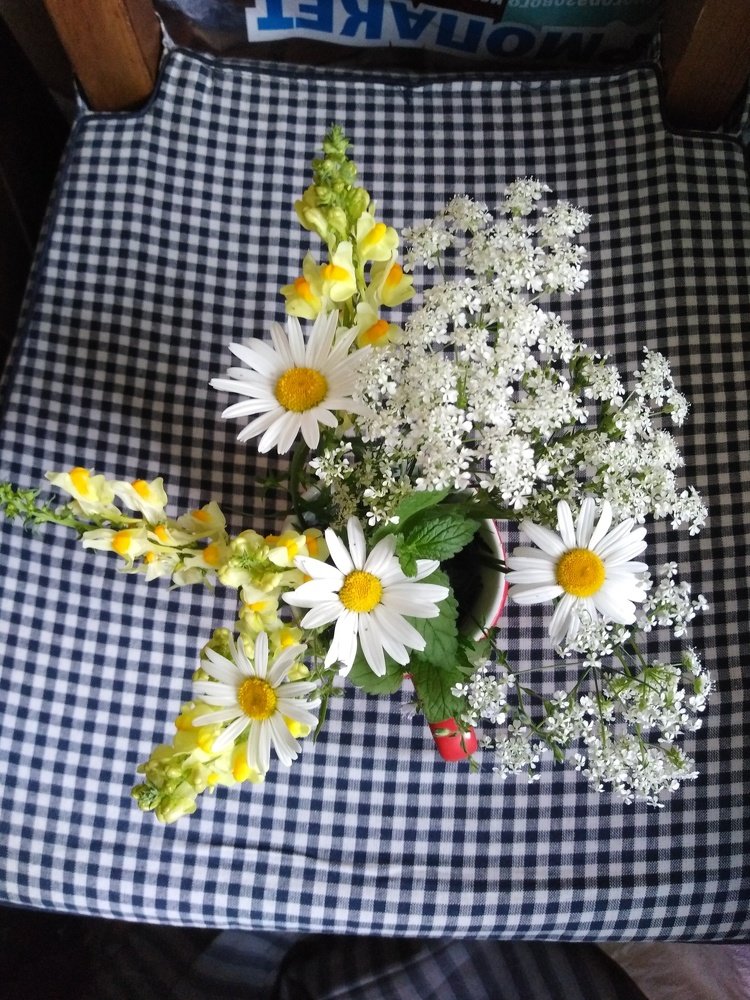 Photograph by Татьяна Ситникова