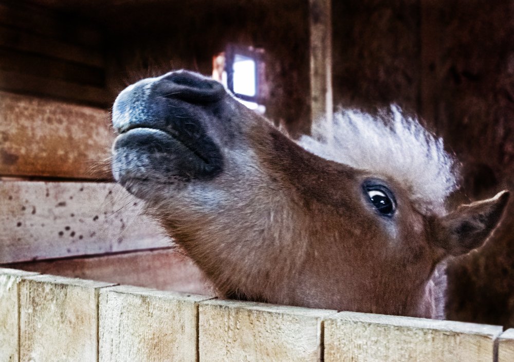 Photograph by ЗОЯ МЕДВЕДЕВА