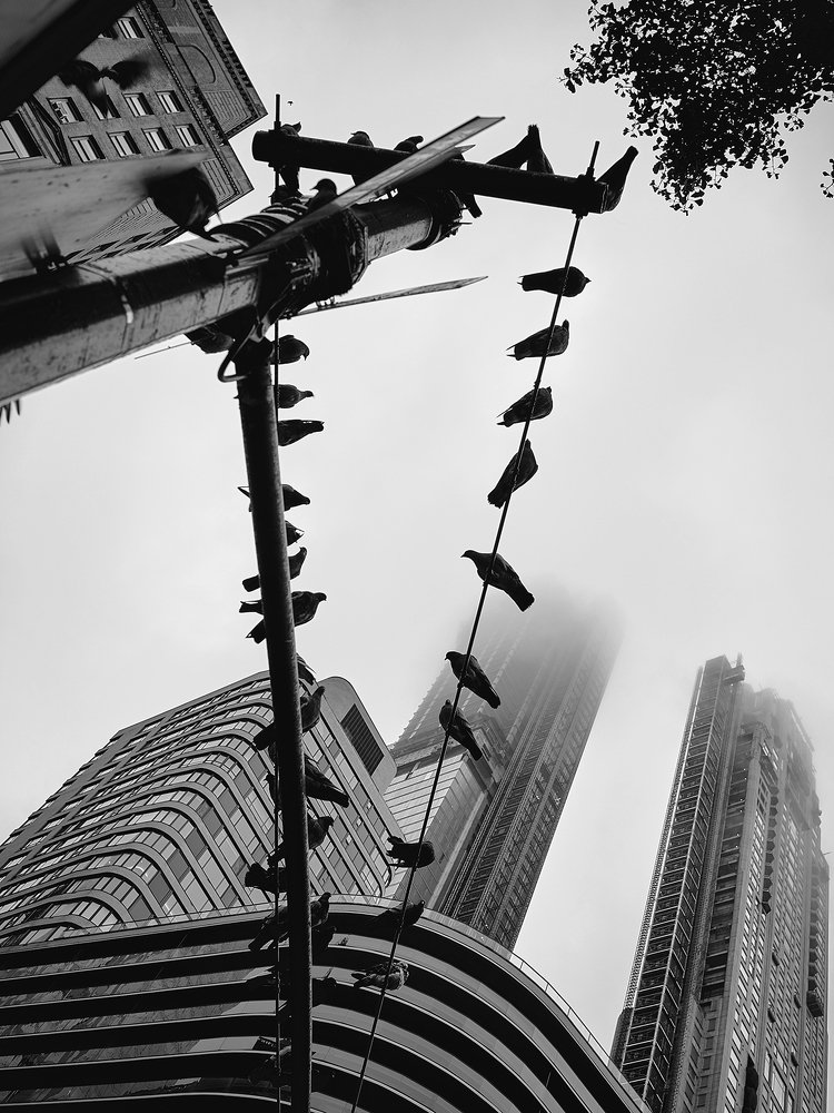 Фотография автора Yulia Dobrynina