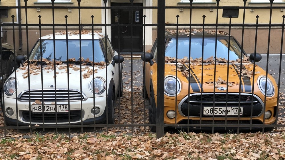 Photograph by Ольга Одаренко