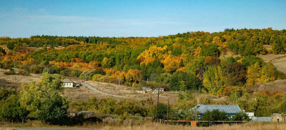Photograph by Дмитрий Свинцов